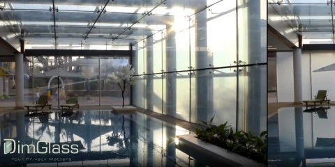 Swimming pool Privacy & Protections